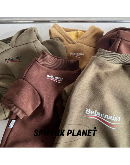 Balenciaga Pet Supplies Product Code：X-LI-BAL-59153When confirming stock and placing an order on whatsapp, please tell us the Product Code