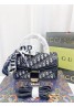 Dior Fashion Shoulder Bag with Strap 21cm*13cm*8cm