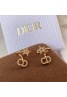 Dior Earrings Star Pattern Glitter Tidal Monogram Birthday Gift