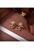 Dior Earrings Star Pattern Glitter Tidal Monogram Birthday Gift