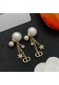 Dior Earring Product Code：X-LI-DIO-59042When confirming stock and placing an order on whatsapp, please tell us the Product Code