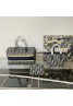 Dior Bag Product Code：X-LI-DIO-59559When confirming stock and placing an order on whatsapp, please tell us the Product Code