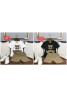 Gucci Children's Clothing Setup Summer Top and Bottom Set Cute Bear Tide