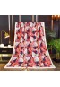 Dior fendi LV chanel burberry blanket Fashion Print Home Blanket 150*200cm