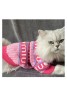 MiuMiu Pet Supplies Product Code：X-LI-MIU-59155When confirming stock and placing an order on whatsapp, please tell us the Product Code