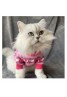 MiuMiu Pet Supplies Product Code：X-LI-MIU-59155When confirming stock and placing an order on whatsapp, please tell us the Product Code