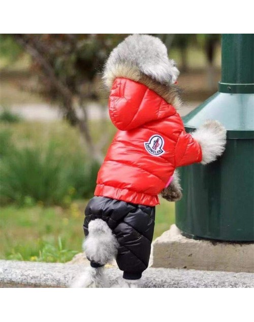 Moncler Pet Supplies Product Code：X-LI-MON-58867When confirming stock and placing an order on whatsapp, please tell us the Product Code