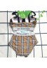 burberry Swimsuit Split Multicolor Plaid Bikini 2 Piece Set