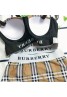 burberry Swimsuit Split Multicolor Plaid Bikini 2 Piece Set